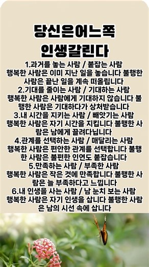 행복한 사람과 불행한 사람의 결정적 차이 6가지 #삶의지혜 #명언 #좋은글 #중년의삶 #인간관계 #인생조언 #철학 #지혜 #오디오북 #중년조언 #처세