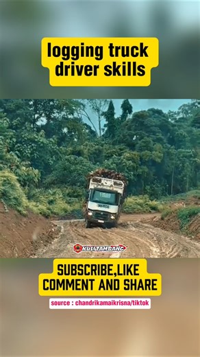 cool, logging truck driver skills on slippery roads #viralshorts #fyp