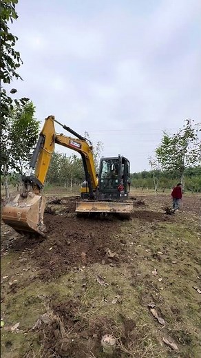 大爷用一天的时间刨树根，我用一个小时帮他搞定 ！【挖机小姐姐田田】#挖掘机 #女司机 #excavator #funnydriver #shorts