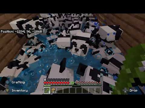 Minecraft Baby Panda Sneeze Farm
