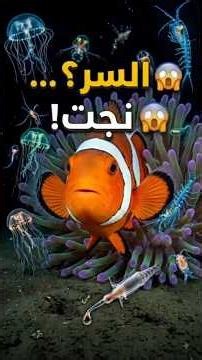 😱 Nemo fish lives amidst deadly poison! 🐠 You won't believe how it survives!