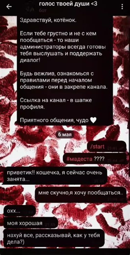 наш бот:@voice_soul_friends_bot #ботподдержки #щп