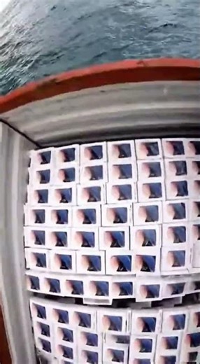 We Found a Shipping Container Floating at Sea… Full of iPhones