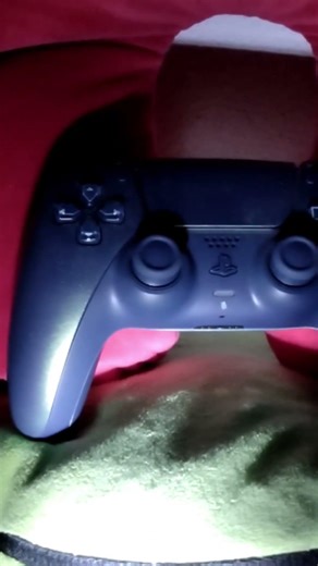 Die perfekte PS5 Controller Ablage 🎮👾