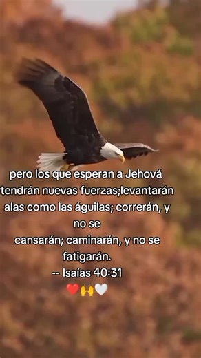 Videos de Jaime 🇲🇽 (@jaimeayala527) con “sonido original - ALABA, OH ALMA MIA”