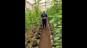 80 reactions · 11 comments |  **Utilisez l'huile de neem en...