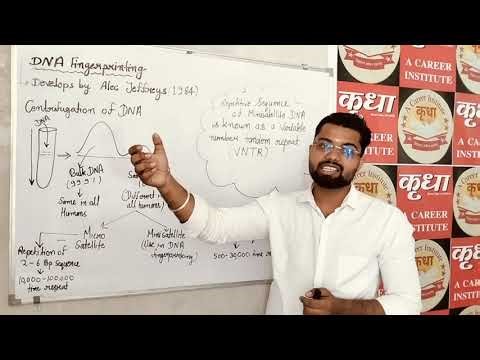 DNA fingerprinting class 12th #biology class 12th biology DNA fingerprinting #DNA #NEET
