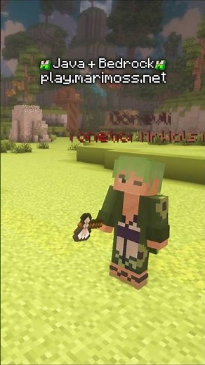 We Opened a Box PvP Server in Minecraft!