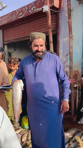 Mali Fish Care and Breeding Tips