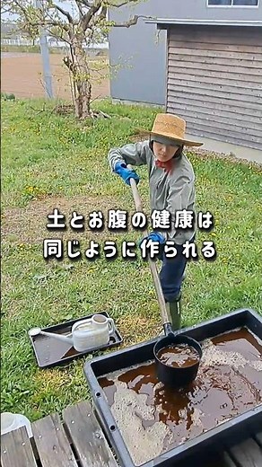 Third time's the charm! Natto bacteria x yeast in the garden #homegardening