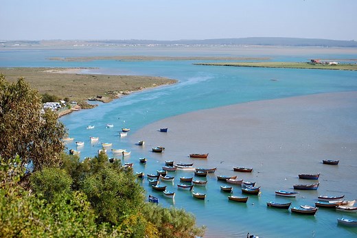 Nomad #29 : La Merja Zerga refuge saisonnier d’oiseaux du monde entier