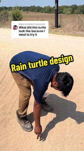 Understanding Native American Rain Turtle Traditions