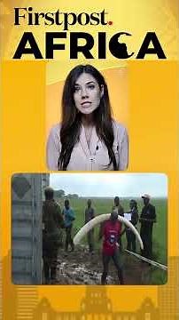 Zimbabwe to Slaughter Elephants | Firstpost Africa