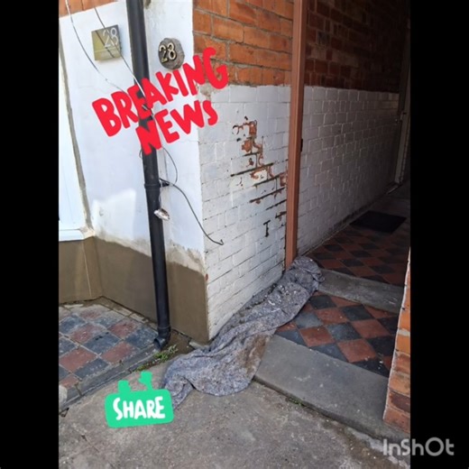 Extra Render 🫣/Music: PixelsMusician: Jeff Kaale