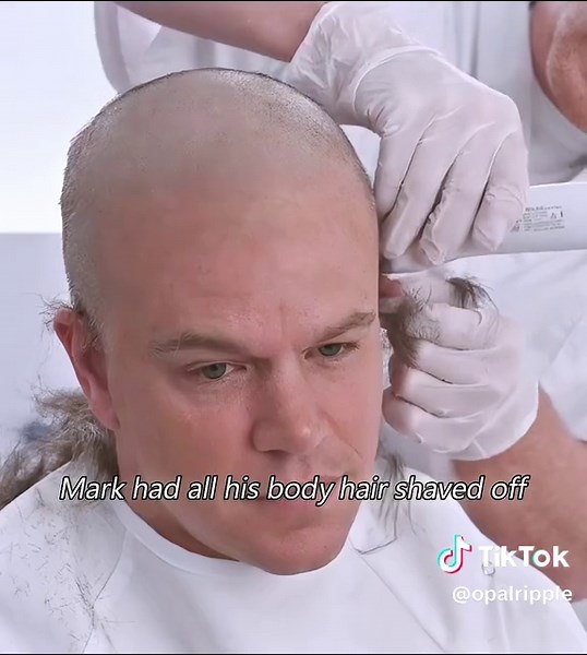 Exploring Life at One-Hundredth Size