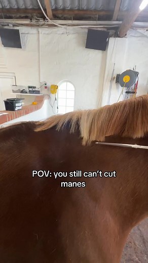 Can’t you cut a mane either? 😂😱 #horse #equestrian #pony #horses #pferfe #cheval #hest #funny #fun | Jonathan Rosenquist
