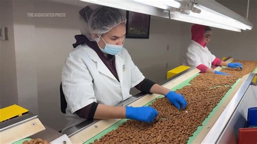 California almond growers grapple with uncertainty as new tariffs could hit exports