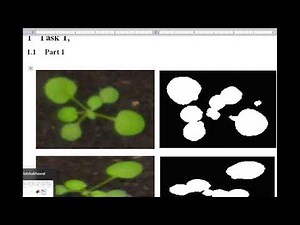 Automated plant object segmentation. For each image, automatically segment plant from background.