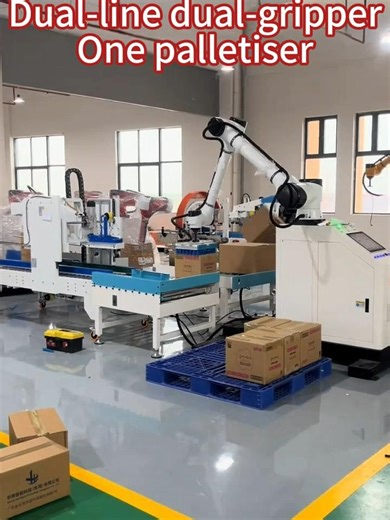 Two lines. Two grabs. One palletizing robot. 🤖📦 One machine handles two production lines at the same time, picking two cartons in a single cycle for faster palletizing. ✔ Higher efficiency ✔ Stable operation ✔ Fully automated palletizing Perfect for factories that want more output with less labor. #palletizing #palletizer #robotpalletizer #automation #factoryautomation #industrialrobot #packagingline #manufacturing