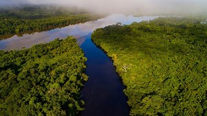 The Amazon | Rivers of Life
