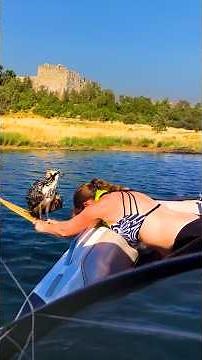 Talons ripped, but she didn't flinch. #FearlessRescue #Wildlife