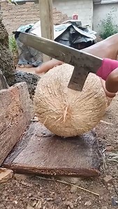 134K views · 280 reactions | Dry Coconut Shell Pealing | Kitchen Craft & DIY | Facebook