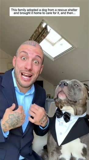 This family adopted a dog from a rescue shelter and brought it home to care for it, and then...