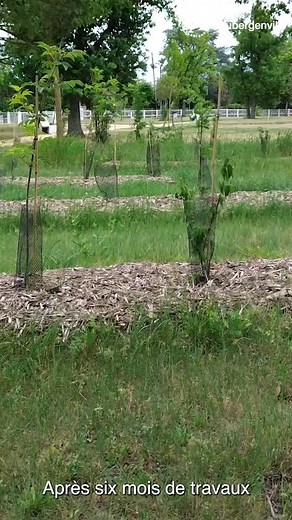 Découvrez en avant-première les images de ​l‘embellissement du parc Nelly Rodi à Aubergenville. Après 6 mois de travaux, ce nouvel espace de nature et de détente est enfin prêt à vous accueillir. Rendez-vous ce dimanche 18 mai lors de la Fête de la Nature pour son inauguration officielle ! 🌱🌳 | AUBERGENVILLE ET VOUS