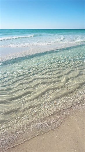 Beach Closure Info After Shark Attacks on 30A