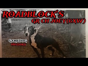 ROADBLOCK'S GR CH JOEY(6XW)