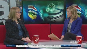 Who should get the influenza vaccine?