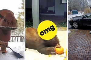 10 Signs Fall Has Officially Arrived