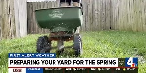 Preparing your yard for the spring