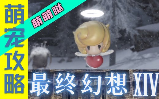 【FF14/宠物攻略】第9期！获取方式奇奇怪怪的小可爱！