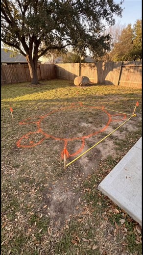 Build a turtle pool in the backyard