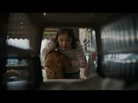 CFS - Bushfires don't wait