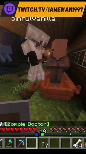 How To Cure A Zombie Villager | Minecraft