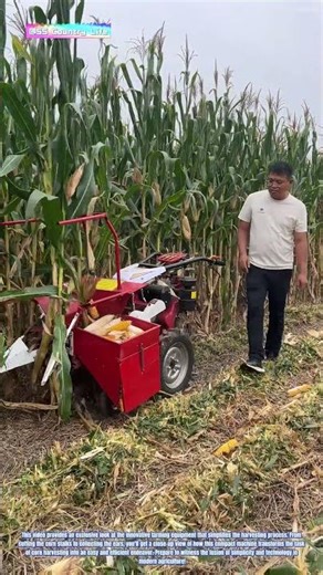 Corn Harvest Made Easy: The Hand-Push Corn Harvester