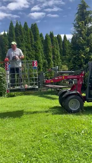 How to Properly Prune Shrubs for Healthy Growth