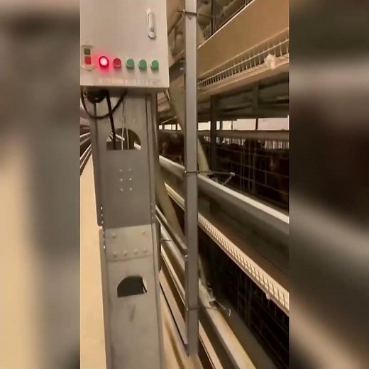 Save Labor with an Automatic Chicken Feeder | Real Farm Case Study