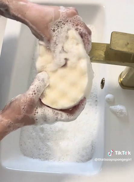 Indulge in Seychelles Scented Soap Sponge Experience