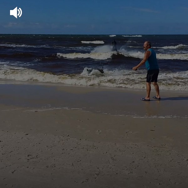 59K views · 74 reactions | De toeristen brachten een gezellige middag door op het strand toen hun rust werd onderbroken door het minst verwachte dier: een woedend en losgeslagen wild zwijn dat tegen alles aanrende wat zijn pad kruiste en minutenlang paniek veroorzaakte. | Positief | Facebook