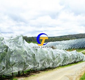 [Hot Item] HDPE German UV Stabilized Drape Net for Agricultural Farms Anti Bee Net Citrus Bee Proof Netting