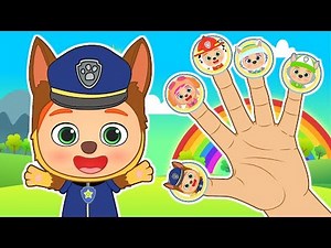 PAW PATROL | Finger family with Chase, Skye, Marshall, Everest, Rocky| Nursery Rhymes for children