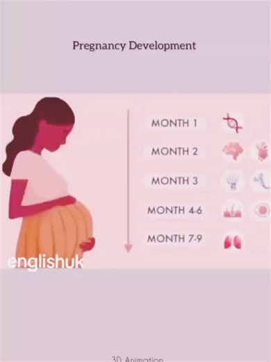 pregnancy 0 month to 9 month | fertilization process | baby development #drameerusa #foryoupage #foryoupageofficiall #pregnancydepartment #PregnancyJourney #pregnant #fertilization #foryouofficial #fyp #foryou #viralvideo #babyinwom #process