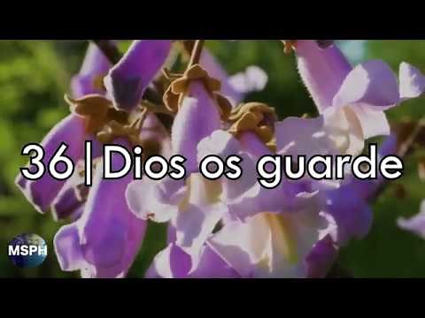 HA62 | Himno 36 | Dios os guarde