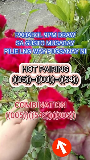 Pahabol 9pm draw png palit bugas good luck #trendingnowreels #trendingreels #swertreshearingtoday #viralshorts #viralreel #swertresguide #lottoresulttoday #swertresresulttoday #swertreslotto #viralpage #trendy #Swertres #SwerteGaming | Genalyn Vlog