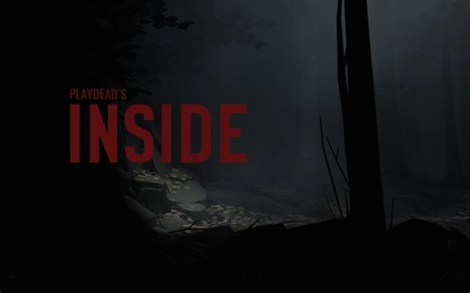 《INSIDE》深入全流程