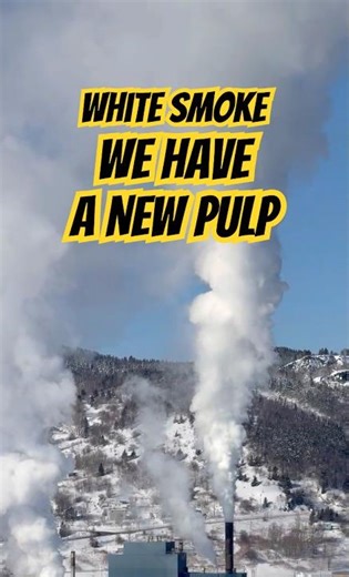 Making Pulp into Paper