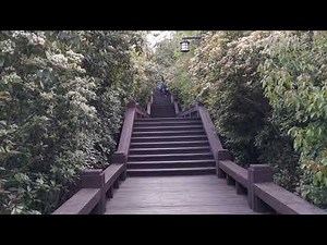 A Stroll | Relaxing Walk & Nature Ambiance